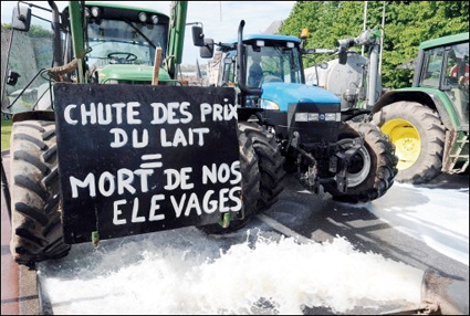 Crise laitière : une valorisation du lait à venir